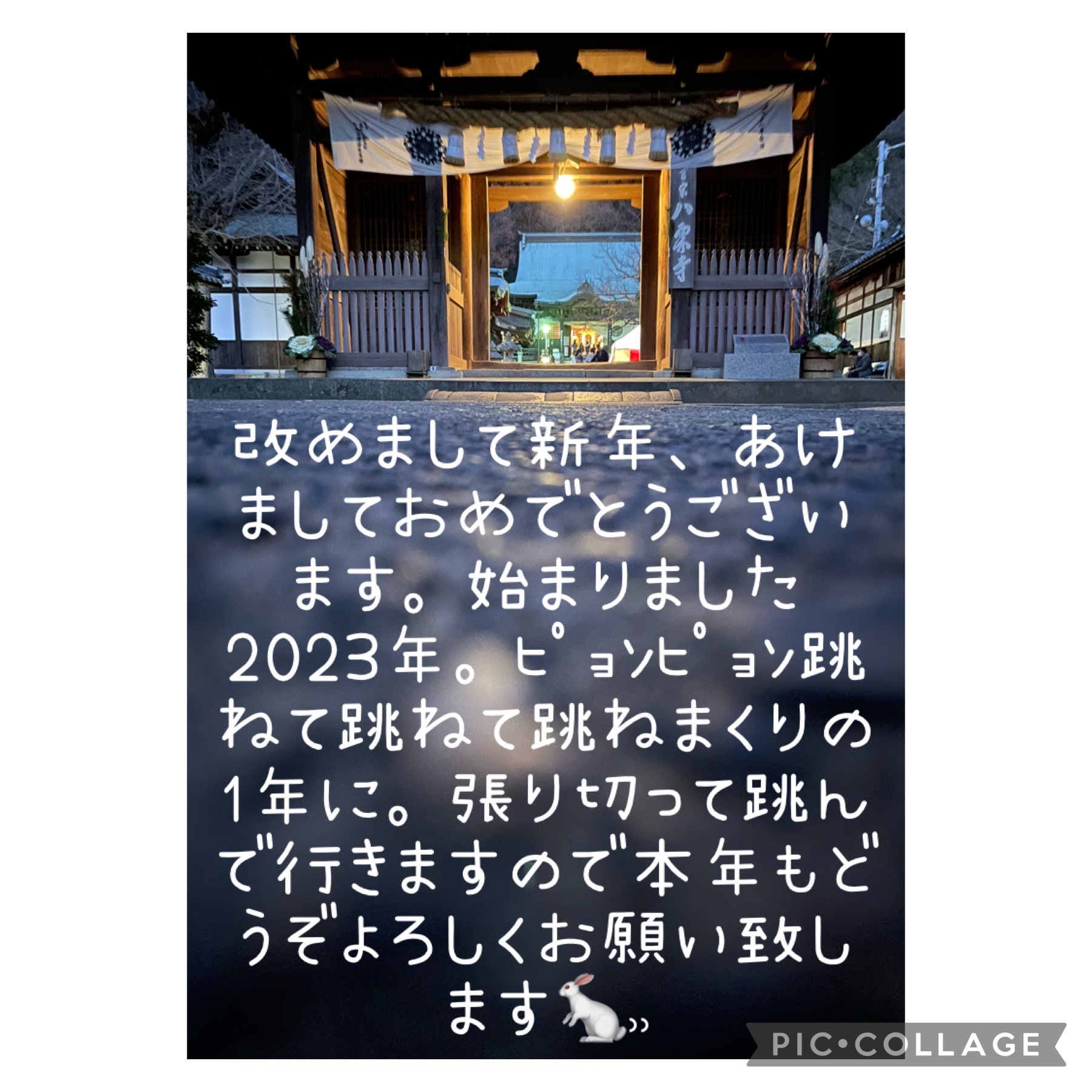 2023年